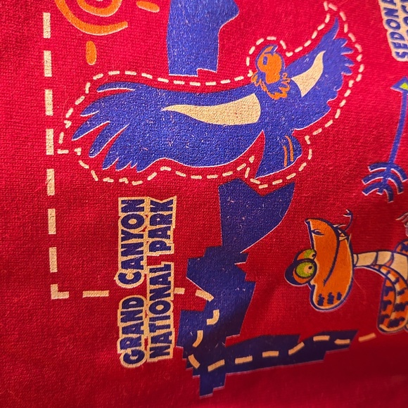 Hanes Cool Stuff to See in Arizona Youth Graphic Short Sleeve Tee - Picture 4 of 8